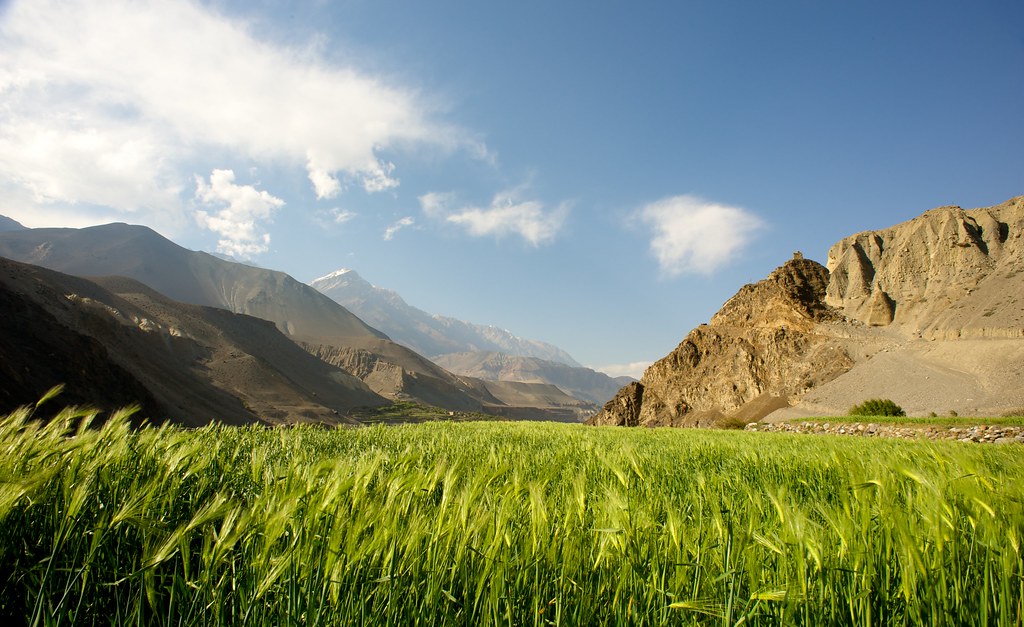 Upper Mustang Travel Guide: Plan Your Trip with Confidence — Upper Mustang, Nepal travel guide