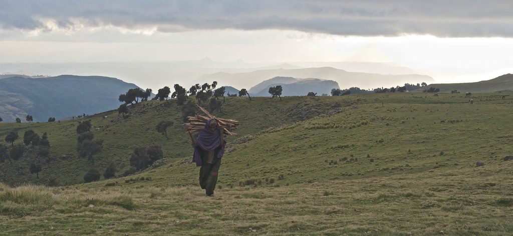 Simien Mountains Travel Guide: Plan Your Trip with Confidence — Simien Mountains, Ethiopia travel guide