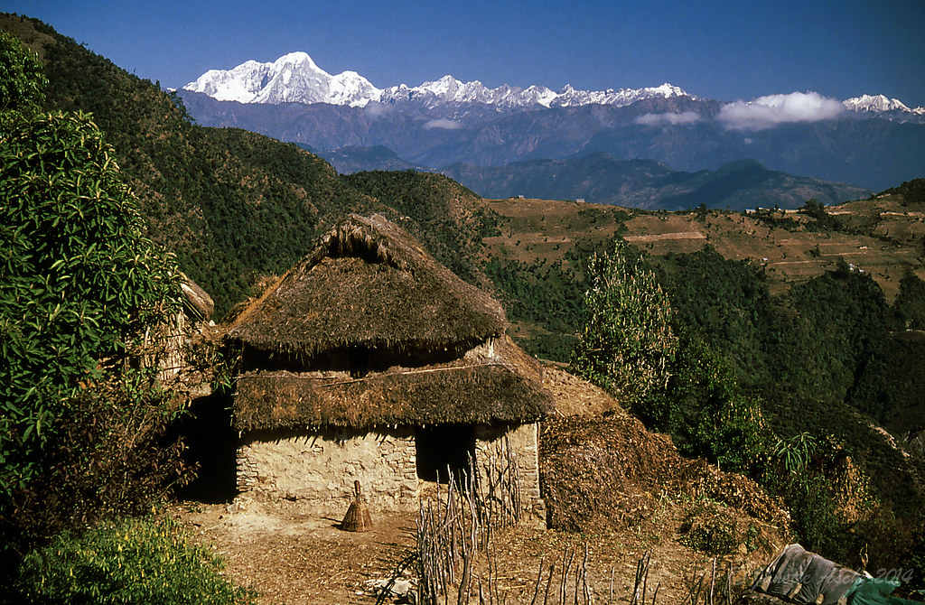 Langtang Valley Travel Guide: Plan Your Trip with Confidence — Langtang Valley, Nepal travel guide