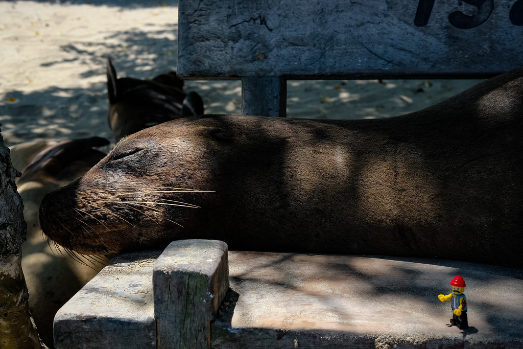 Galapagos Islands Travel Guide: Plan Your Trip with Confidence — Galapagos Islands, Ecuador travel guide