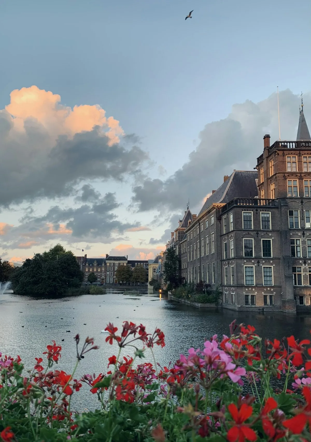 The Hague Adventure: Routes, Views and Outdoor Experiences