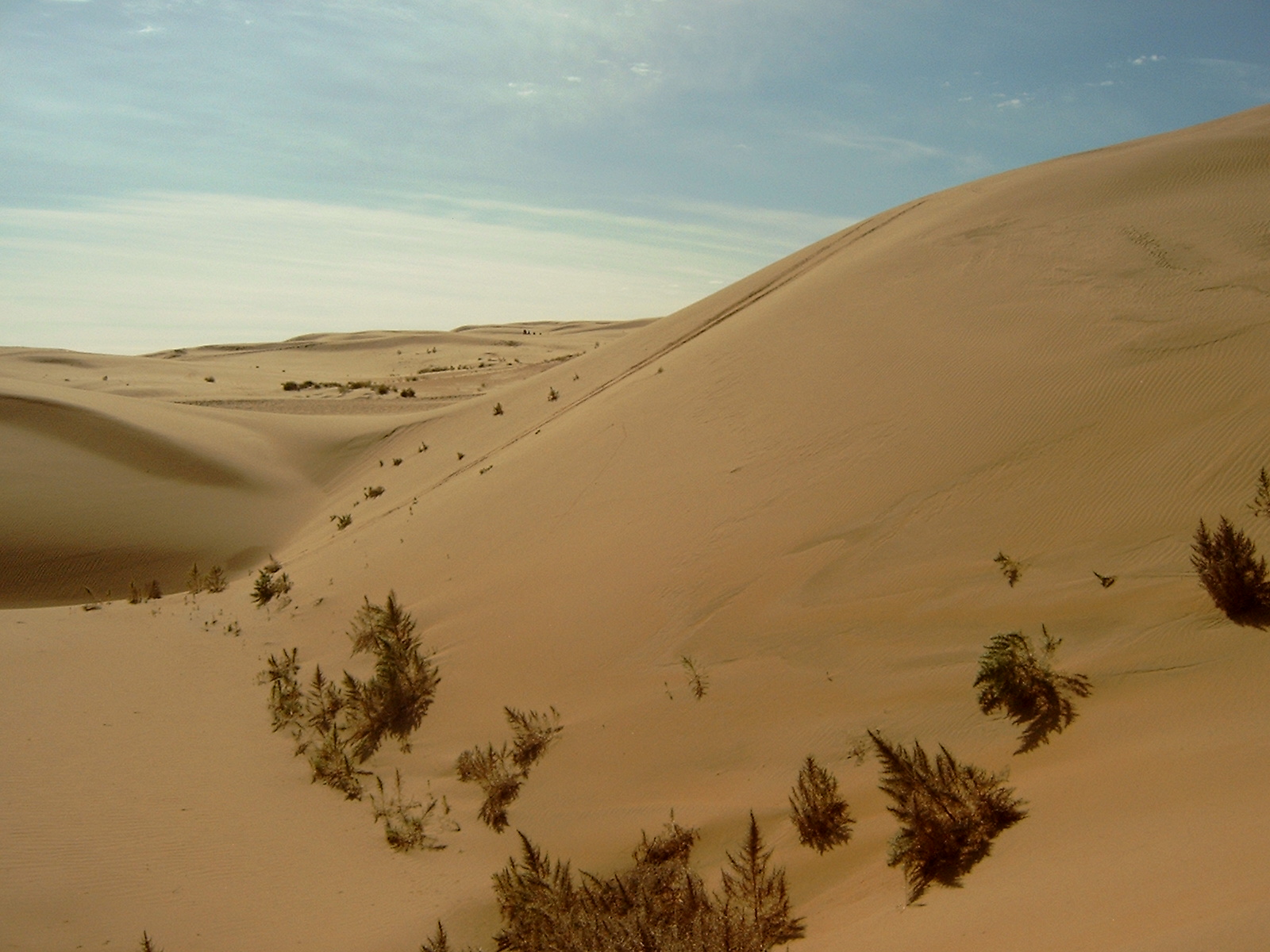 Gobi Desert Travel Guide: Everything You Need to Know — Gobi Desert, Mongolia travel guide