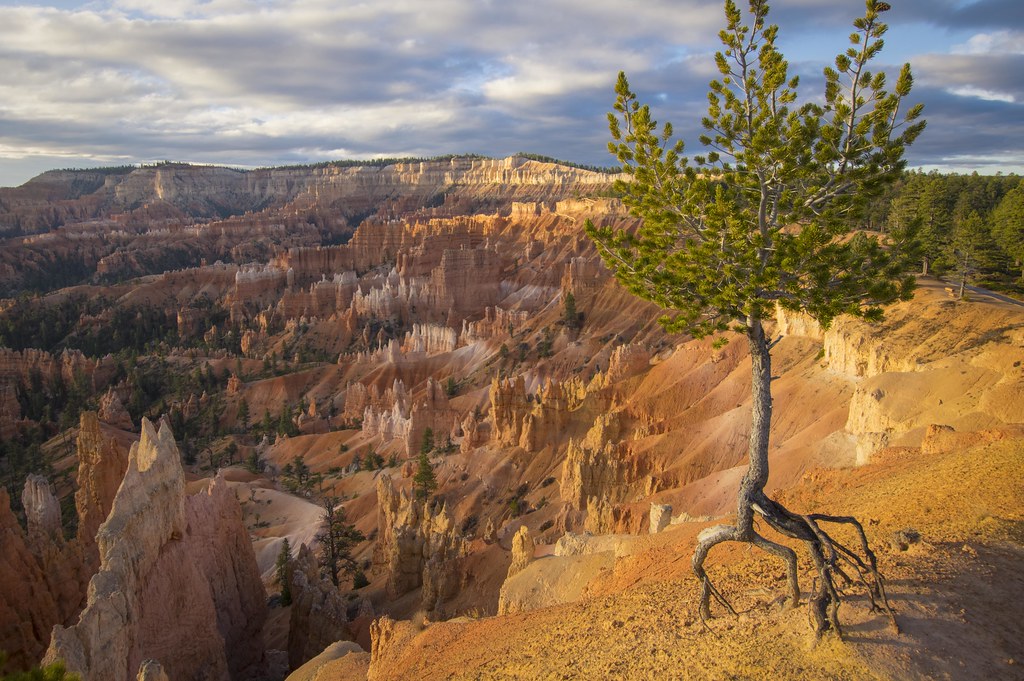 Bryce Canyon National Park Travel Guide: Plan Your Trip with Confidence — Bryce Canyon National Park, United States travel guide