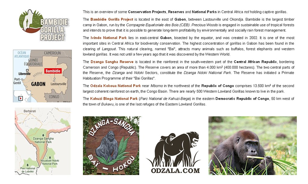 Odzala-Kokoua Travel Guide: Plan Your Trip with Confidence — Odzala-Kokoua National Park, Republic of the Congo travel guide