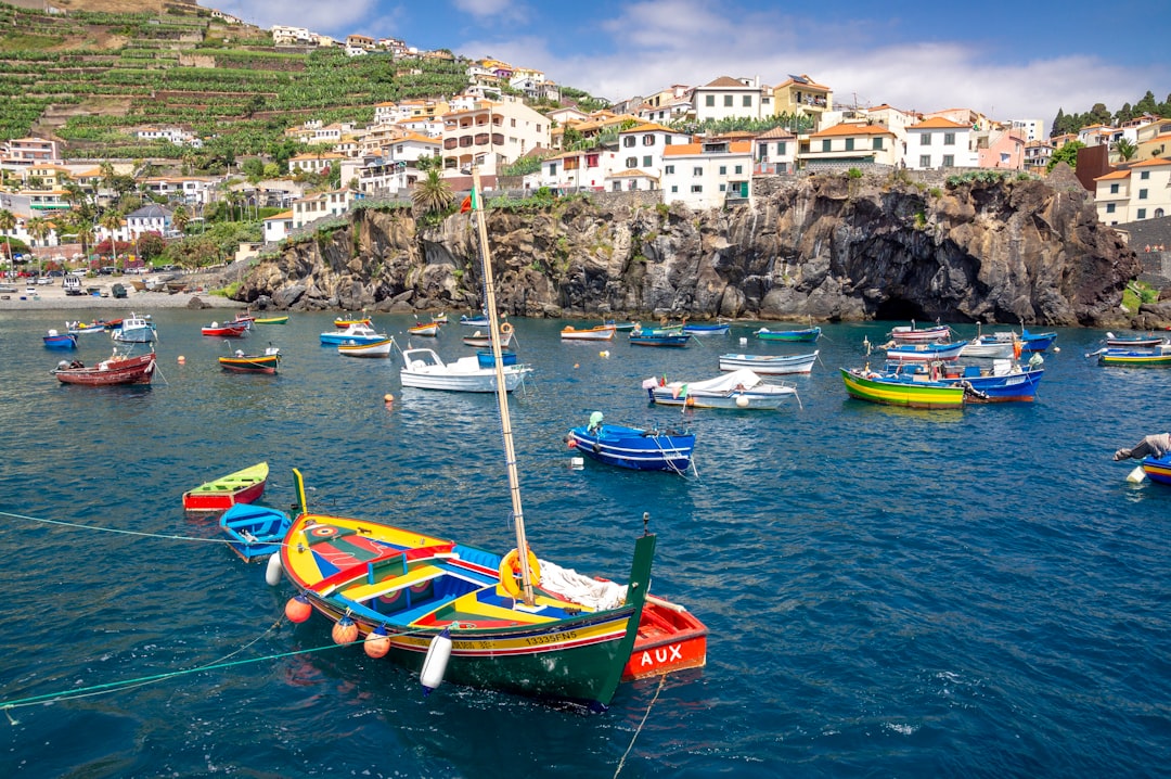 Madeira Travel Guide: Everything You Need to Know — Madeira, Portugal travel guide