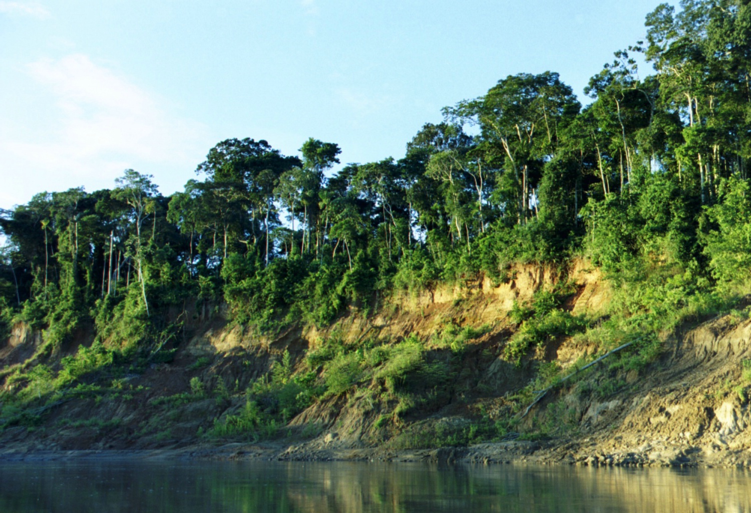 Manu National Park Travel Guide: Plan Your Trip with Confidence — Manu National Park, Peru travel guide