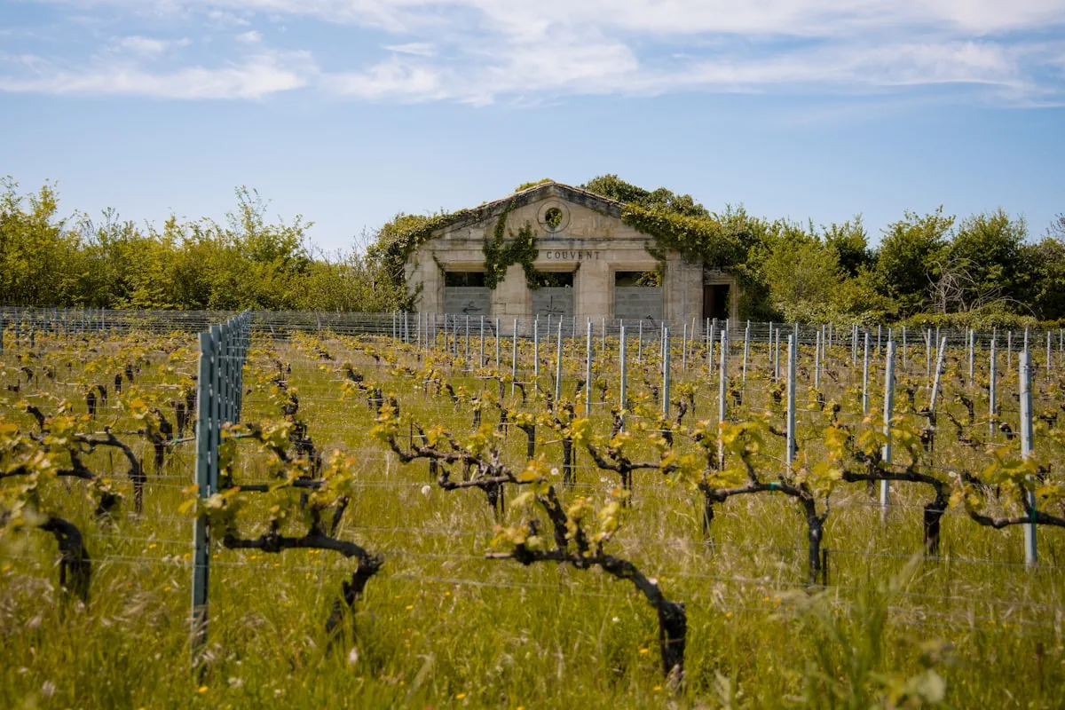Bordeaux Adventure: Routes, Views and Outdoor Experiences