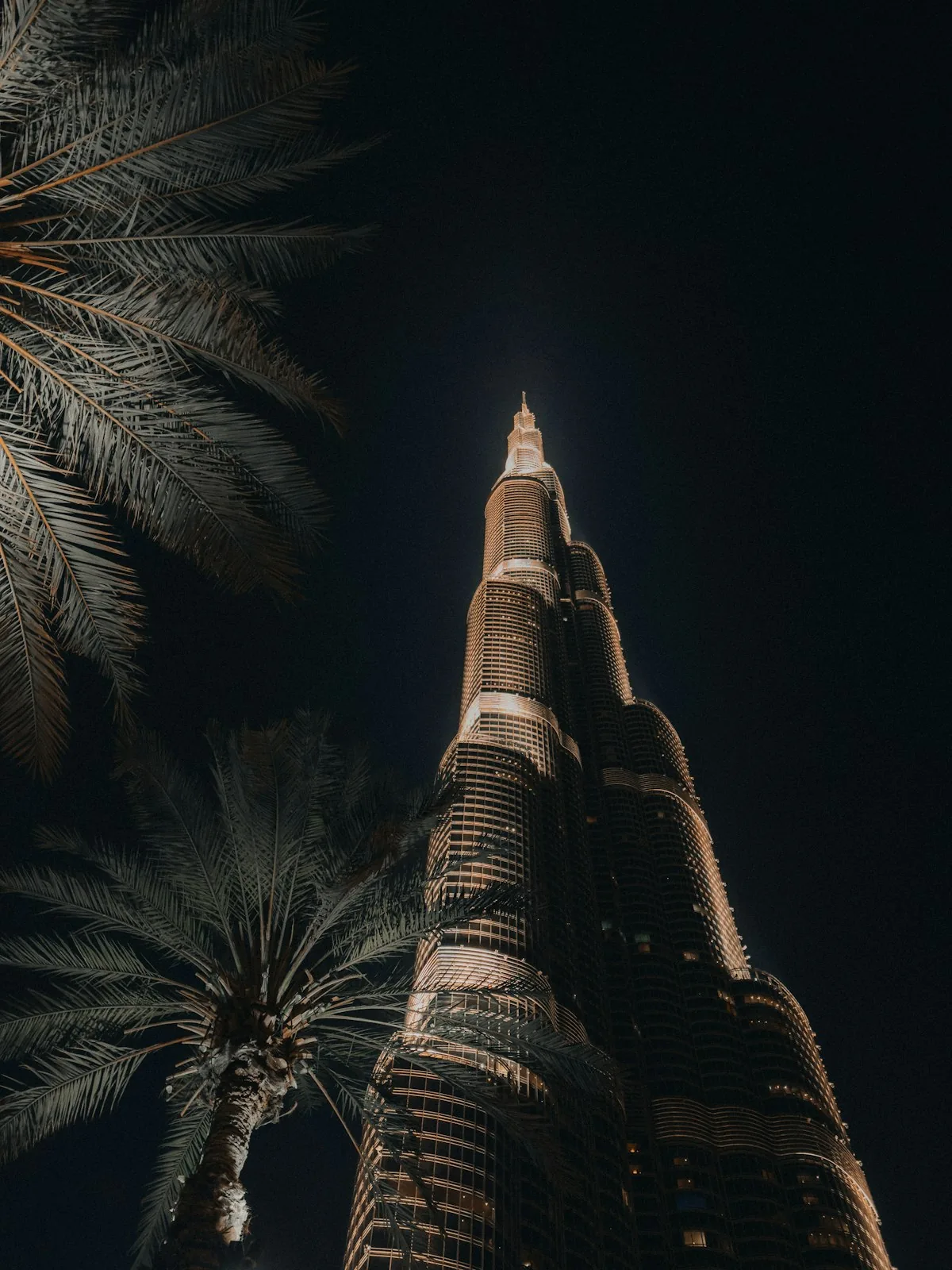 Dubai Adventure: Routes, Views and Outdoor Experiences