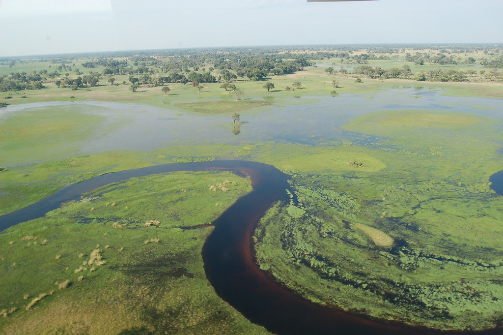 Okavango Delta Travel Guide: Plan Your Trip with Confidence — Okavango Delta, Botswana travel guide