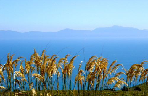 Stewart Island Travel Guide: Plan Your Trip with Confidence — Rakiura Stewart Island, New Zealand travel guide