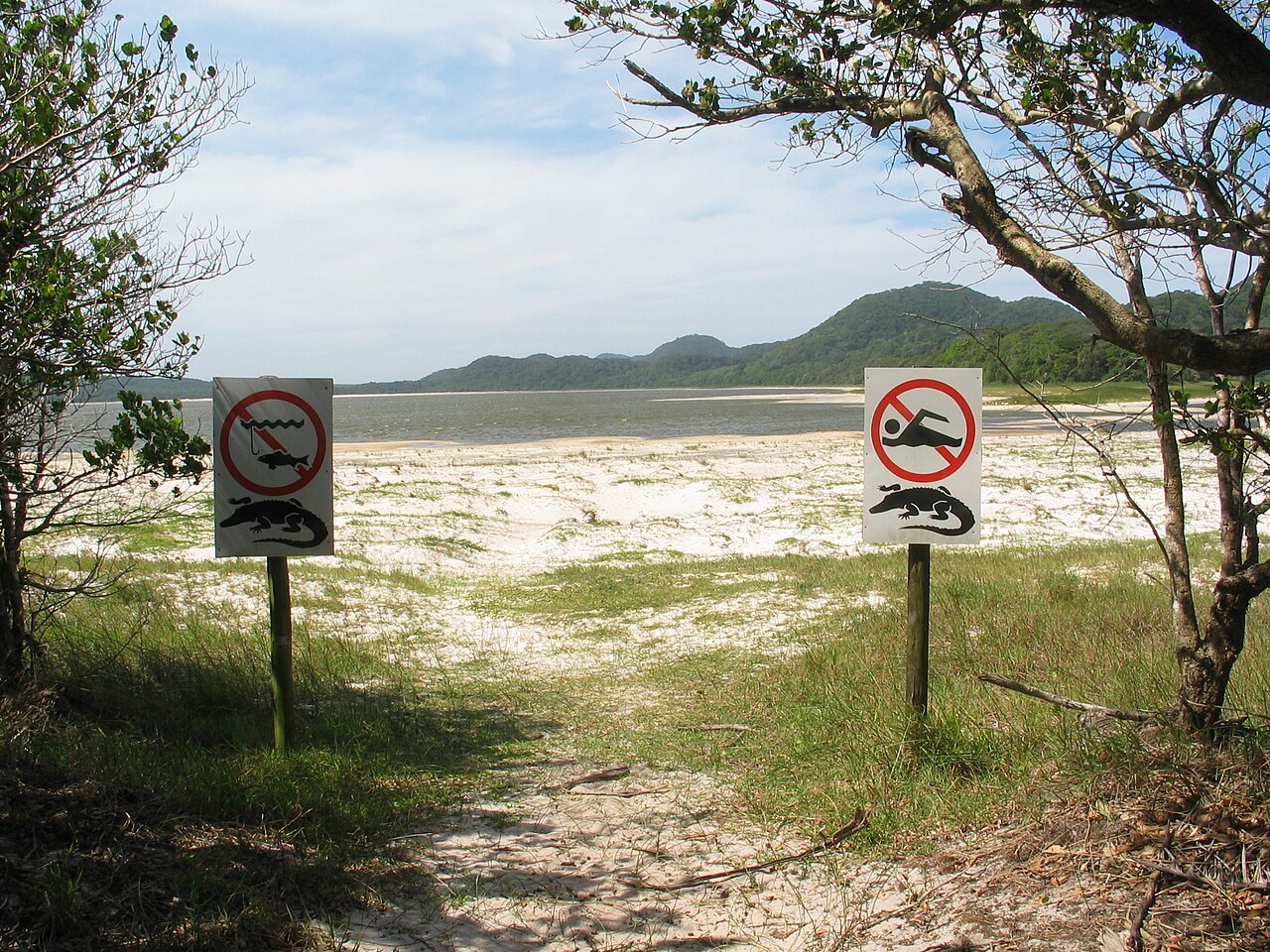 iSimangaliso Wetland Travel Guide: Plan Your Trip with Confidence — iSimangaliso Wetland Park, South Africa travel guide
