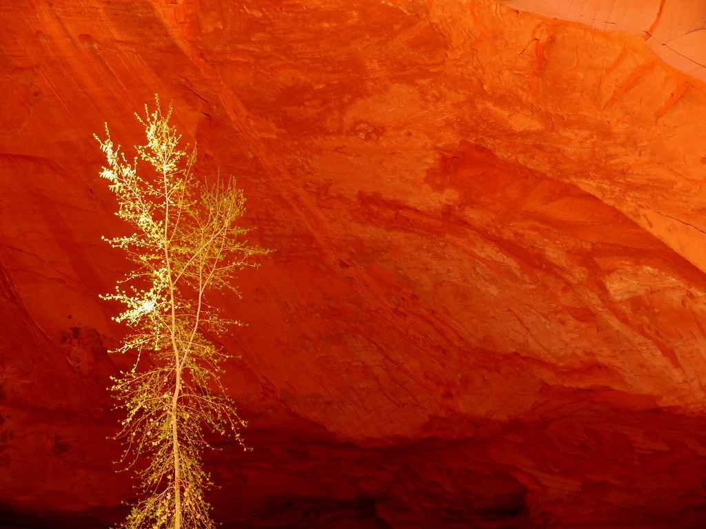 Escalante Travel Guide: Plan Your Trip with Confidence — Grand Staircase Escalante, USA travel guide