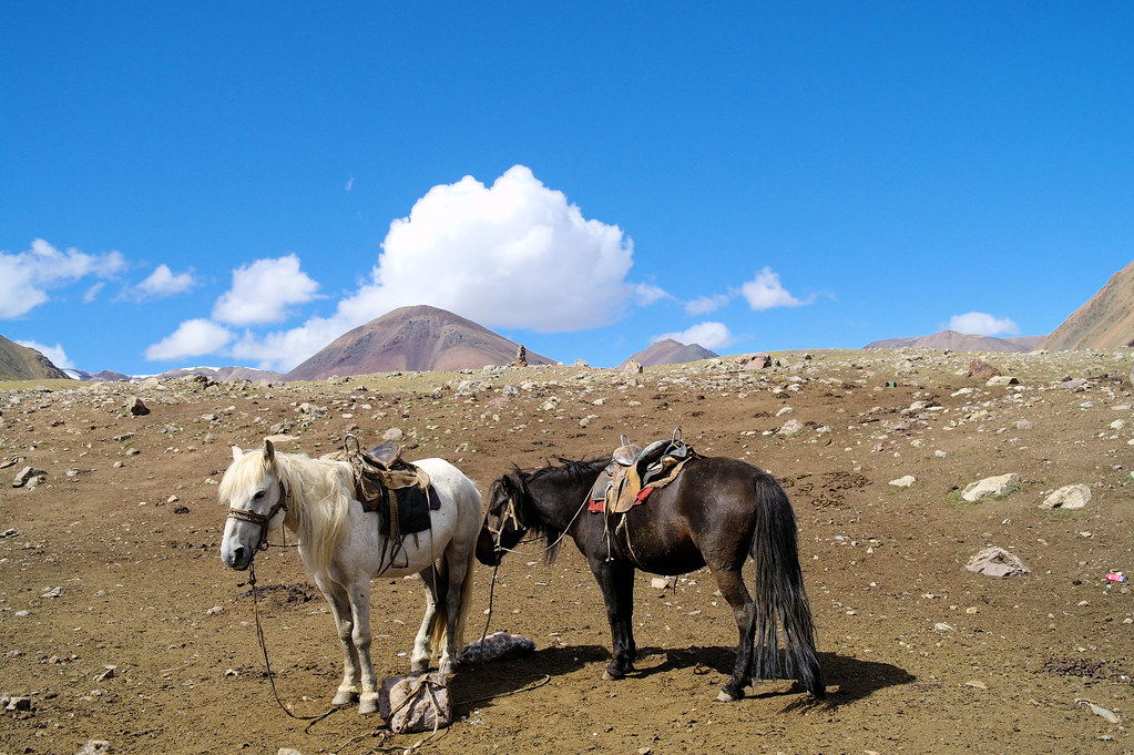 Altai Tavan Bogd Travel Guide: Plan Your Trip with Confidence — Altai Tavan Bogd National Park, Mongolia travel guide
