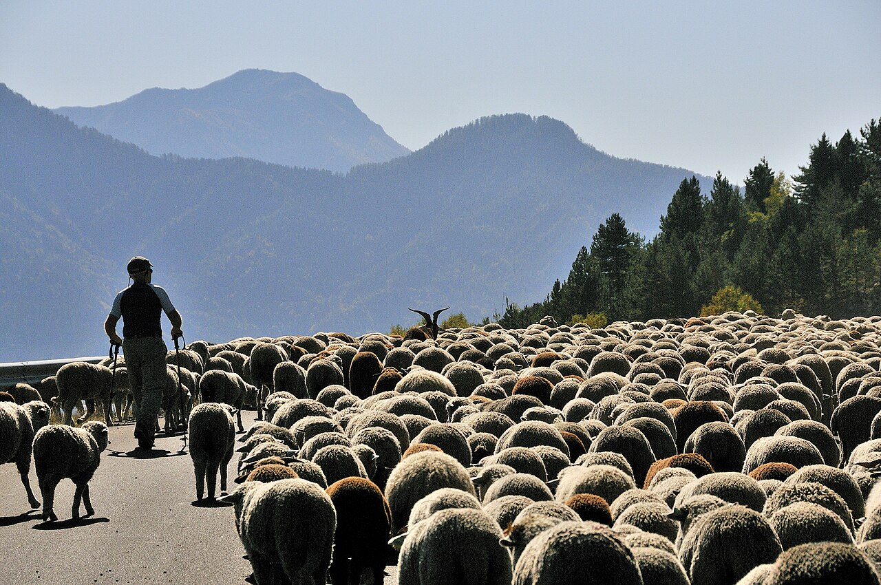 Ecrins Travel Guide: Plan Your Trip with Confidence — Ecrins National Park, France travel guide