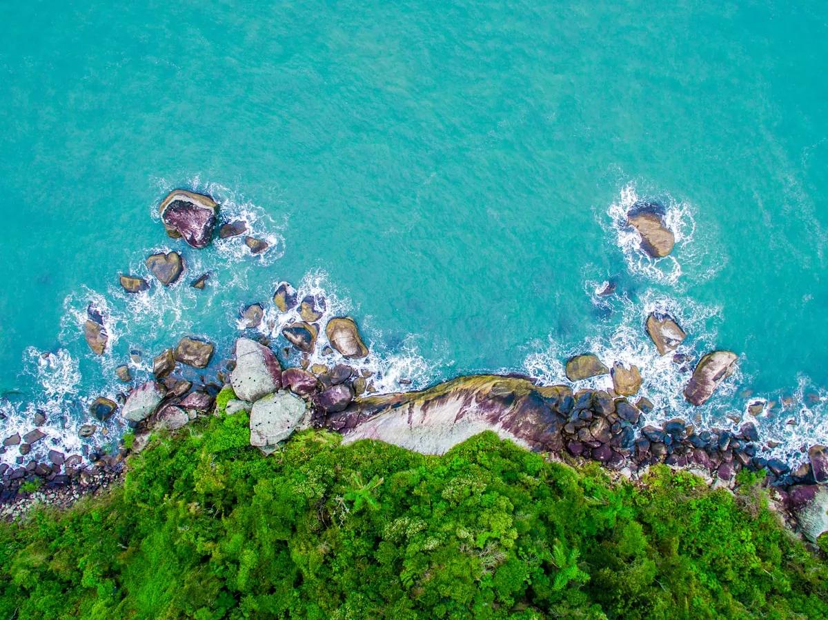 Busan Travel Guide: Everything You Need to Know — Busan, South Korea travel guide