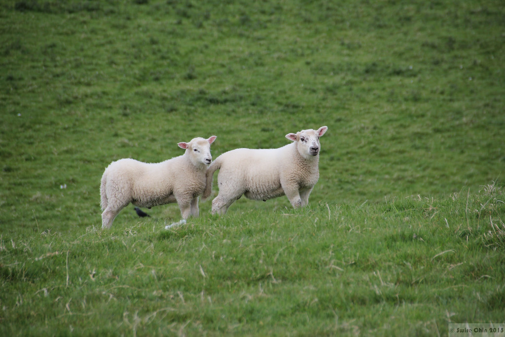 Wild Atlantic Way Travel Guide: Plan Your Trip with Confidence — Wild Atlantic Way, Ireland travel guide