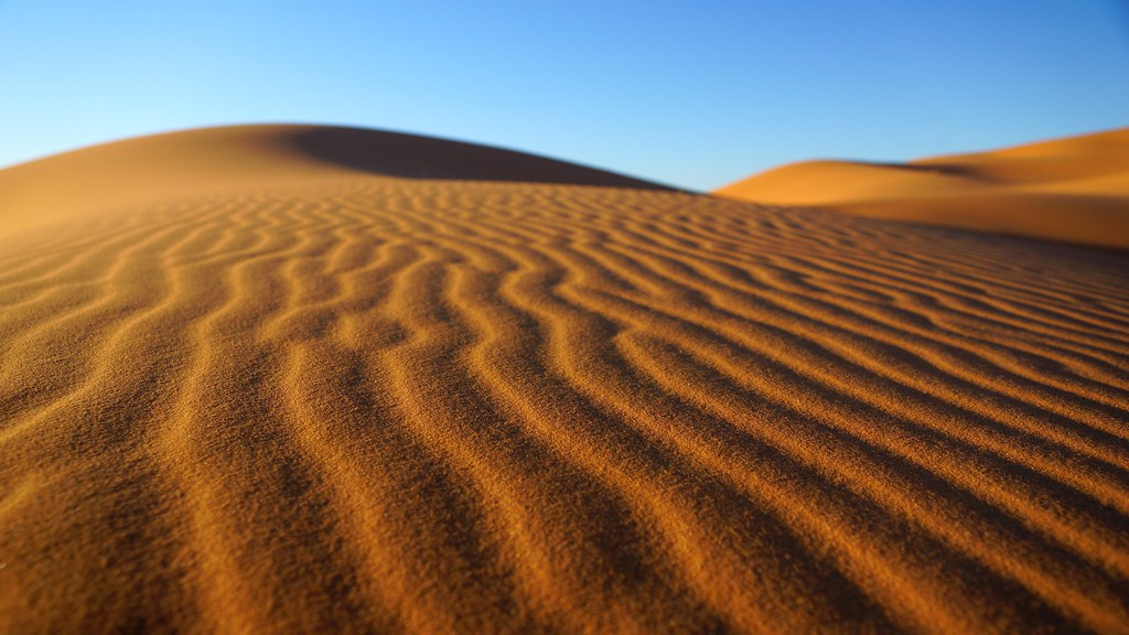 Erg Chebbi Dunes Travel Guide: Plan Your Trip with Confidence — Erg Chebbi, Morocco travel guide