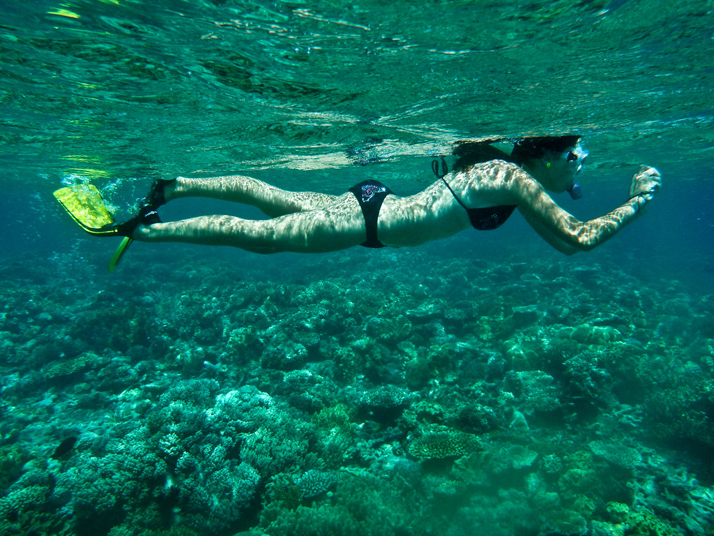 Great Barrier Reef Travel Guide: Plan Your Trip with Confidence — Great Barrier Reef, Australia travel guide