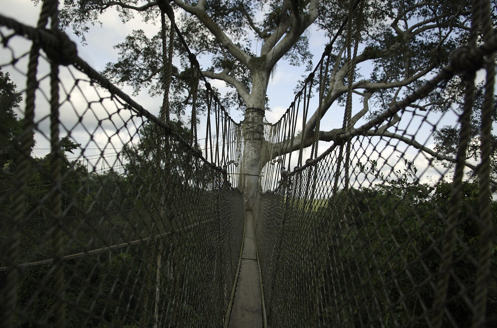 Kakum Canopy Walk Travel Guide: Plan Your Trip with Confidence — Kakum National Park, Ghana travel guide