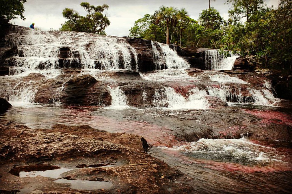 Cano Cristales Travel Guide: Plan Your Trip with Confidence — Cano Cristales, Colombia travel guide