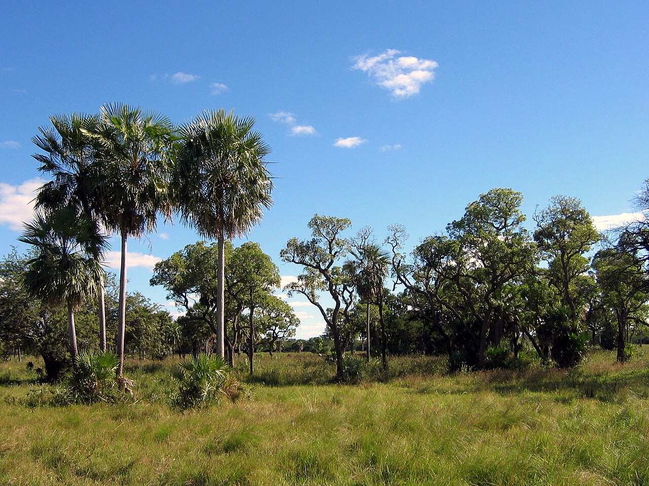 Chaco National Park Travel Guide: Plan Your Trip with Confidence — Defensores del Chaco National Park, Paraguay travel guide