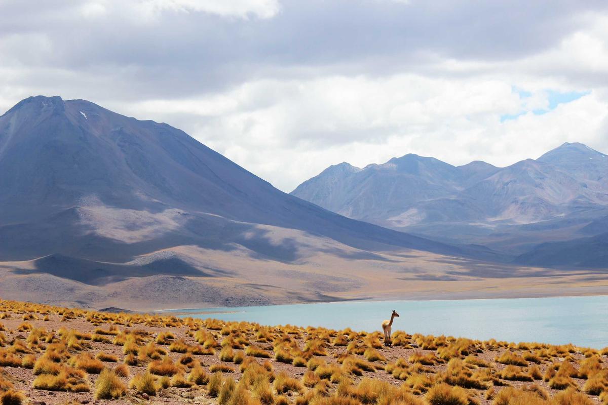 Wakhan Corridor Travel Guide: Everything You Need to Know — Wakhan, Afghanistan travel guide