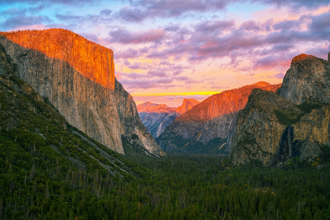 Yosemite National Park Travel Guide: Everything You Need to Know — Yosemite, USA travel guide