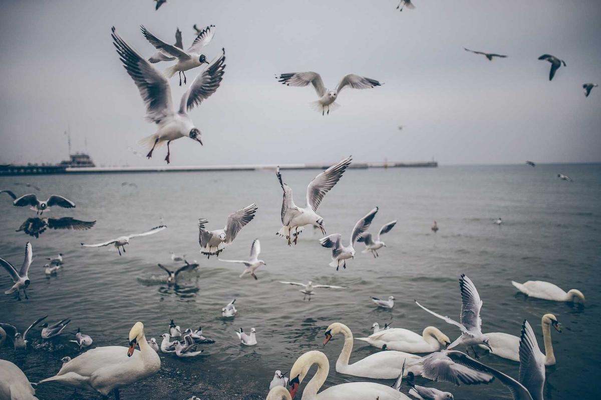 Antelope Canyon Travel Guide: Everything You Need to Know — Antelope Canyon, USA travel guide