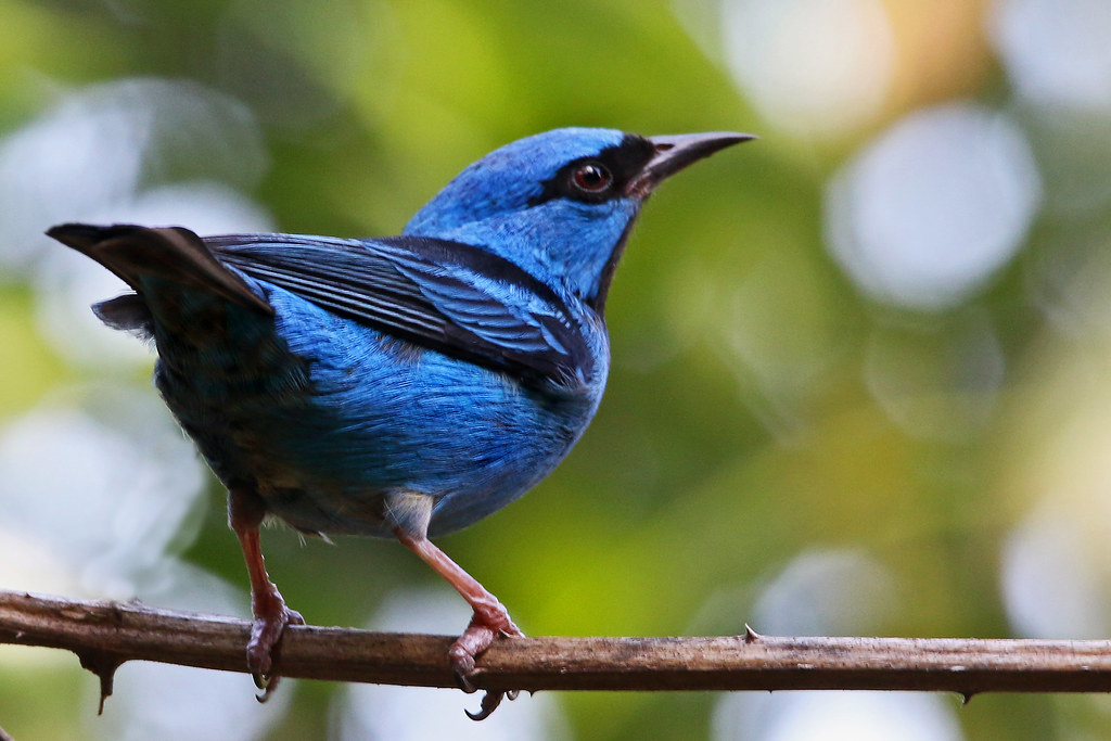 Iguazu National Park Travel Guide: Plan Your Trip with Confidence — Iguazu, Argentina travel guide