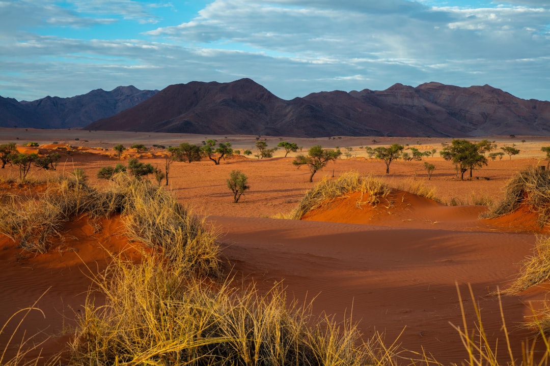 Namib Desert Travel Guide: Everything You Need to Know — Namib Desert, Namibia travel guide