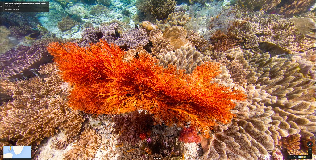 Raja Ampat Travel Guide: Plan Your Trip with Confidence — Raja Ampat, Indonesia travel guide