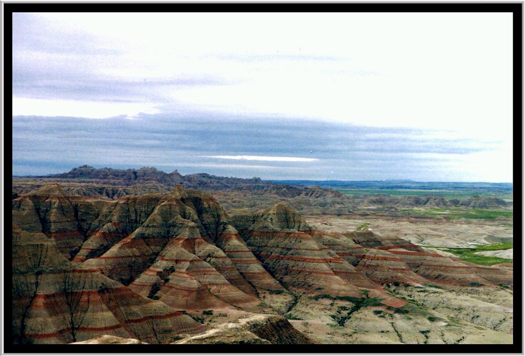 Petrified Forest Travel Guide: Plan Your Trip with Confidence — Petrified Forest National Park, United States travel guide