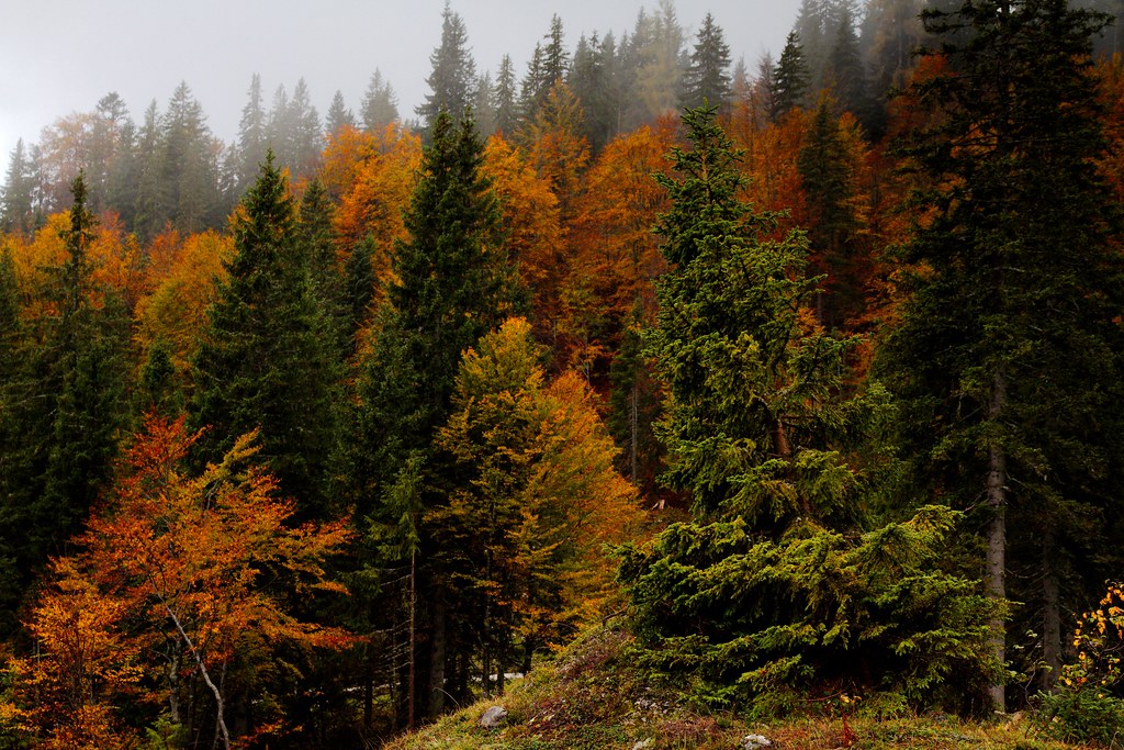 Hohe Tauern Travel Guide: Plan Your Trip with Confidence — Hohe Tauern National Park, Austria travel guide