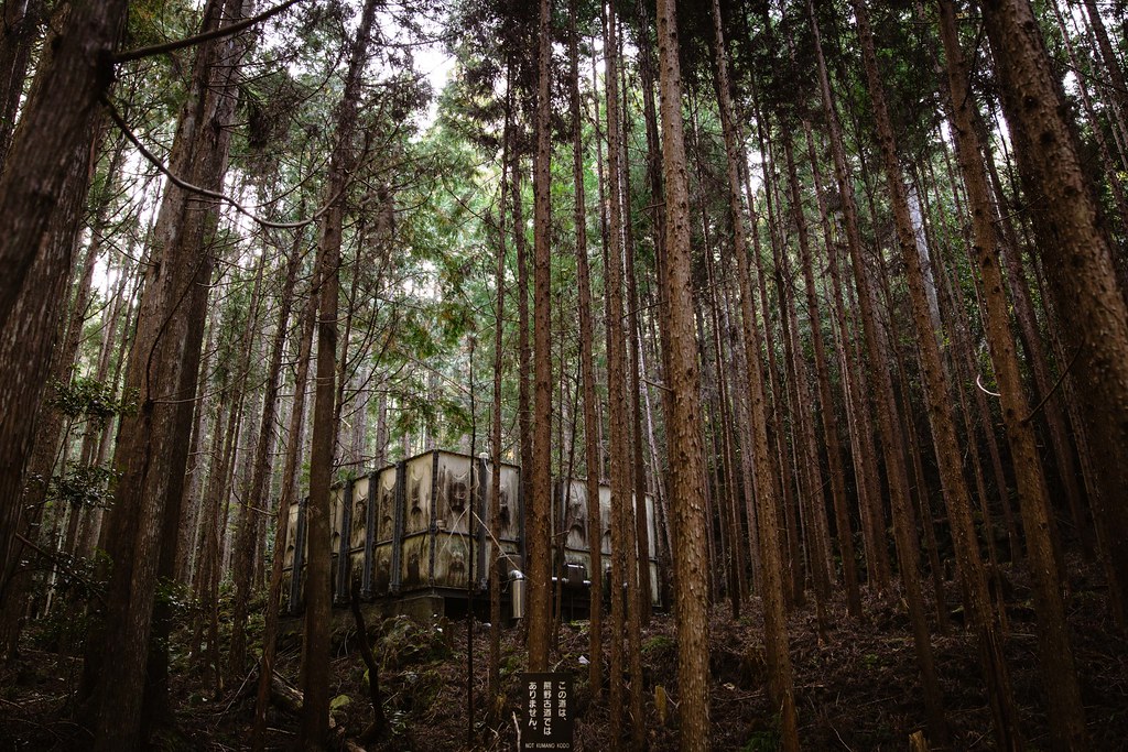 Kumano Kodo Travel Guide: Plan Your Trip with Confidence — Kumano Kodo Trail, Japan travel guide