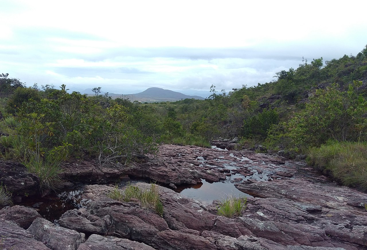 Tepequem Tepui Travel Guide: Plan Your Trip with Confidence — Tepequem, Brazil travel guide