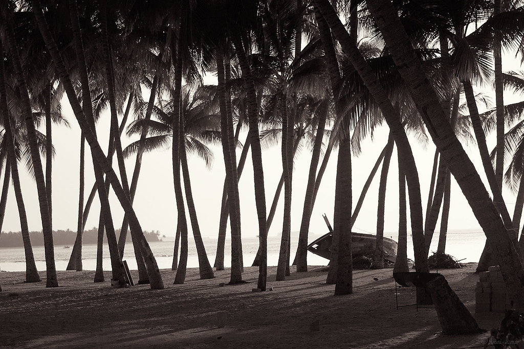 Baa Atoll Travel Guide: Plan Your Trip with Confidence — Baa Atoll, Maldives travel guide