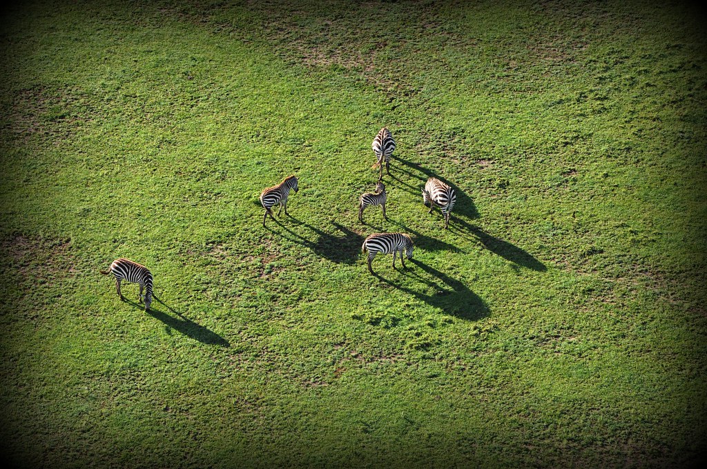 Masai Mara Reserve Travel Guide: Plan Your Trip with Confidence — Masai Mara National Reserve, Kenya travel guide