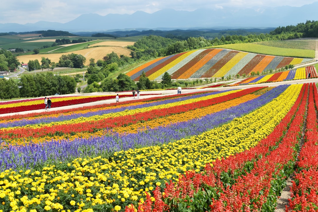 Hokkaido Travel Guide: Everything You Need to Know — Hokkaido, Japan travel guide