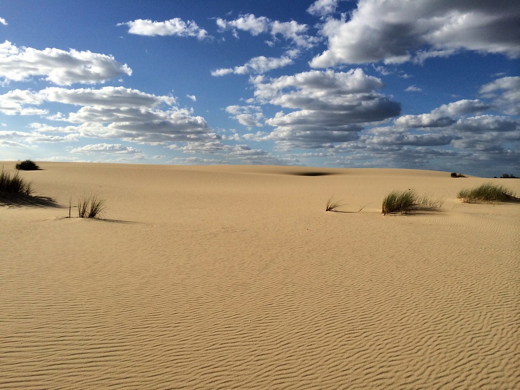 Donana Travel Guide: Plan Your Trip with Confidence — Donana National Park, Spain travel guide