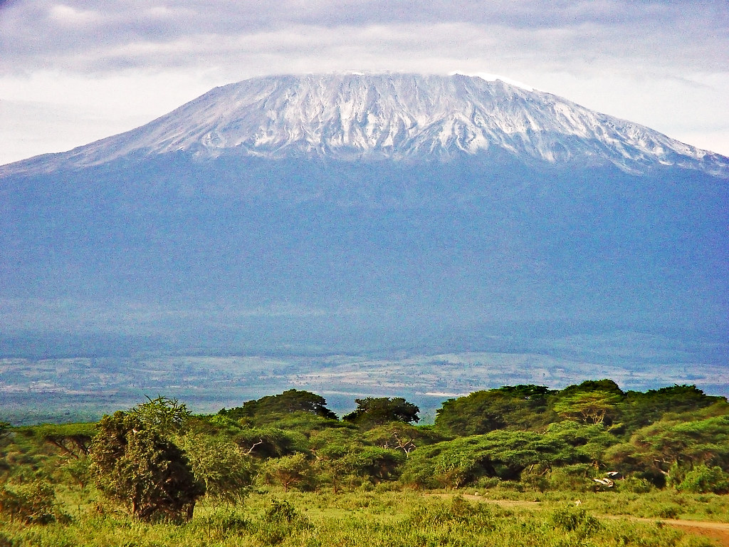 Mount Kenya National Park Travel Guide: Plan Your Trip with Confidence — Mount Kenya, Kenya travel guide