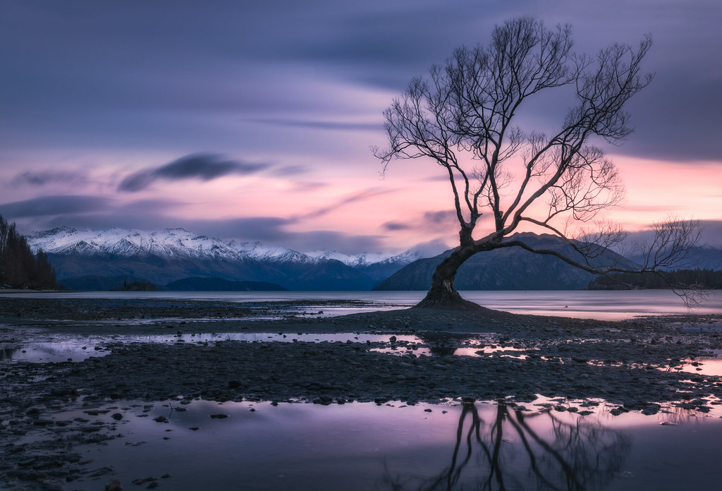 Te Wahipounamu South West NZ Travel Guide: Plan Your Trip with Confidence — South Island, New Zealand travel guide
