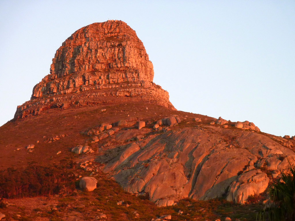Table Mountain Travel Guide: Plan Your Trip with Confidence — Table Mountain National Park, South Africa travel guide