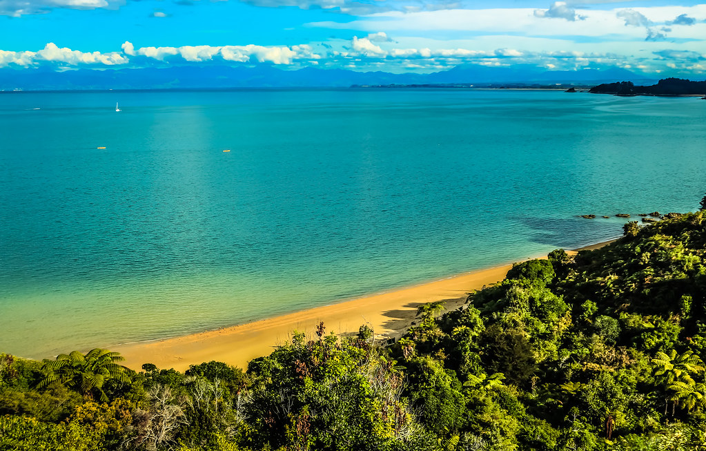 Abel Tasman National Park Travel Guide: Plan Your Trip with Confidence — Abel Tasman National Park, New Zealand travel guide