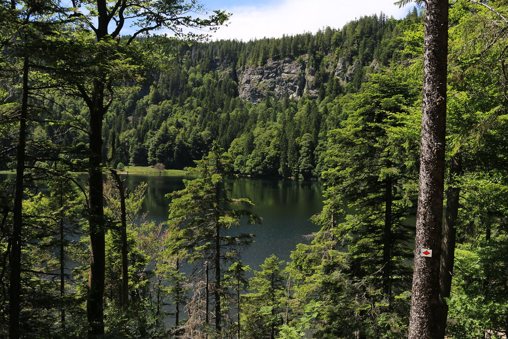 Black Forest Travel Guide: Plan Your Trip with Confidence — Black Forest National Park, Germany travel guide