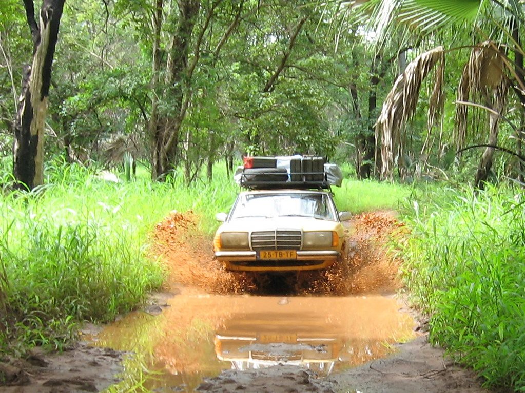 Niokolo-Koba Travel Guide: Plan Your Trip with Confidence — Niokolo-Koba National Park, Senegal travel guide