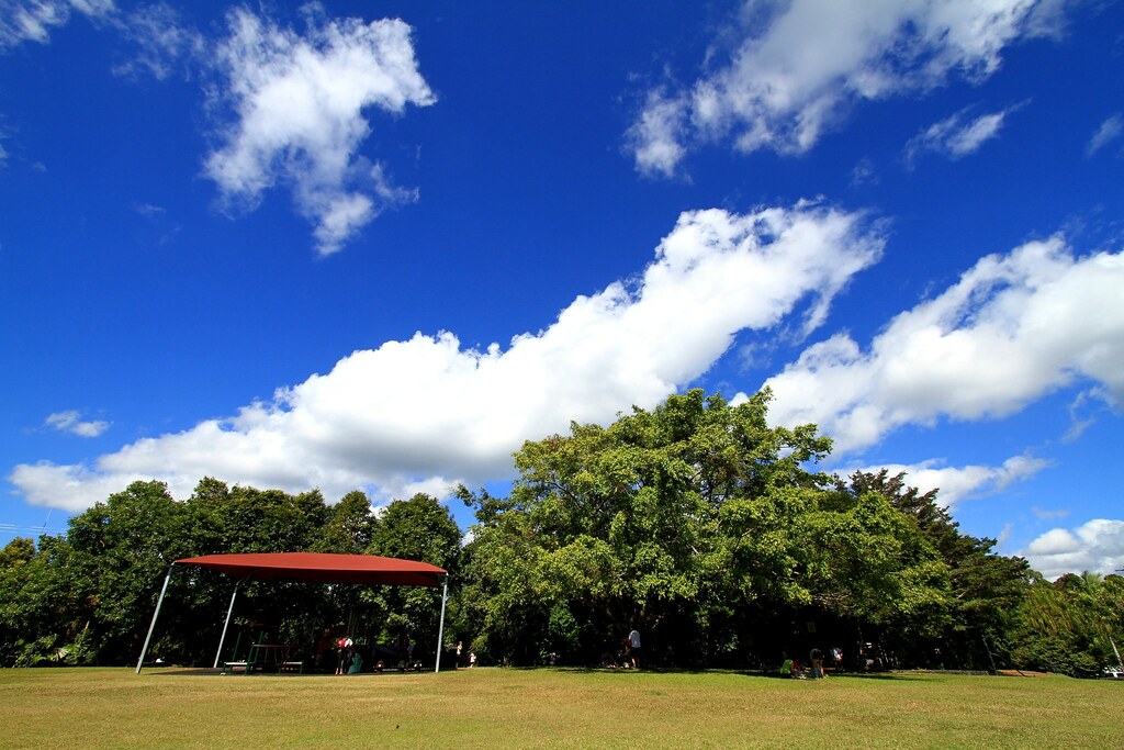 Wet Tropics of Queensland Travel Guide: Plan Your Trip with Confidence — Cairns, Australia travel guide