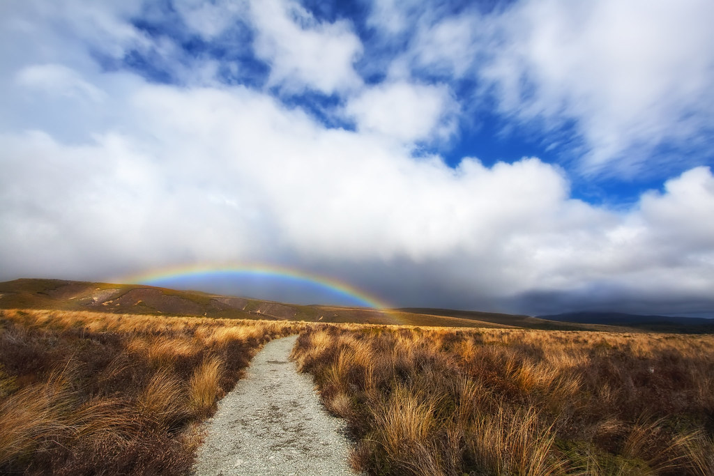 Tongariro Crossing Travel Guide: Plan Your Trip with Confidence — Tongariro, New Zealand travel guide