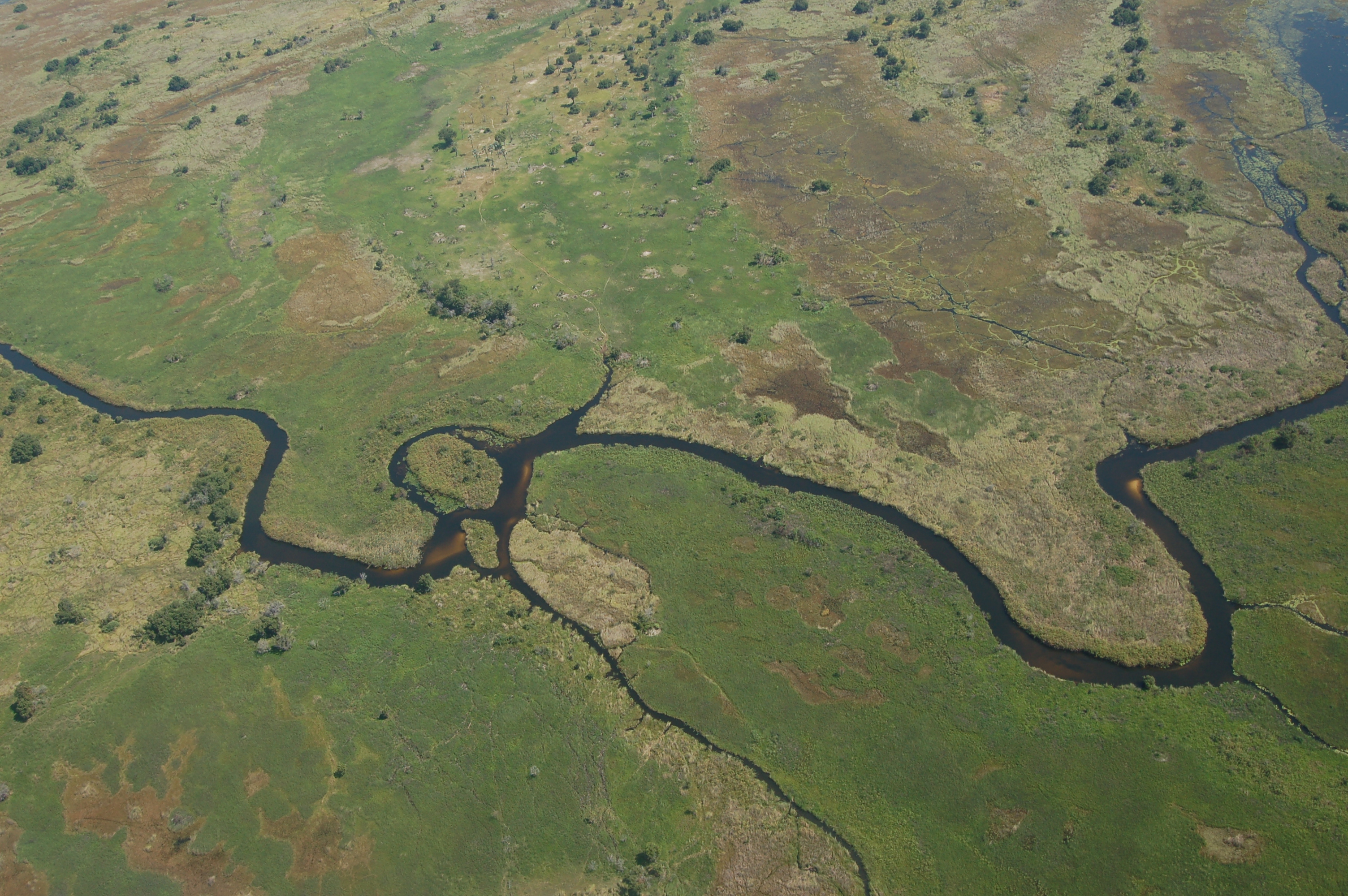 Okavango Delta Travel Guide: Everything You Need to Know — Okavango Delta, Botswana travel guide