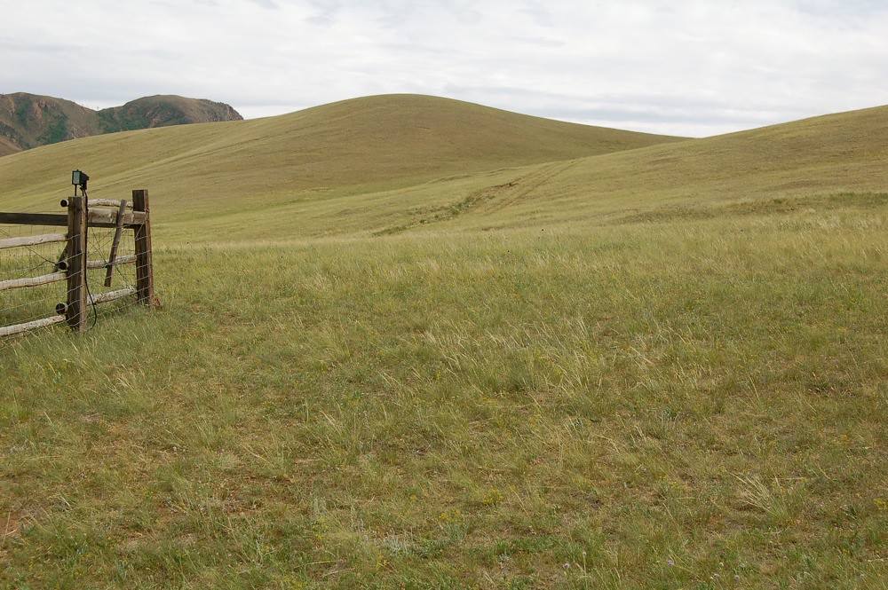 Terelj Travel Guide: Plan Your Trip with Confidence — Gorkhi-Terelj National Park, Mongolia travel guide