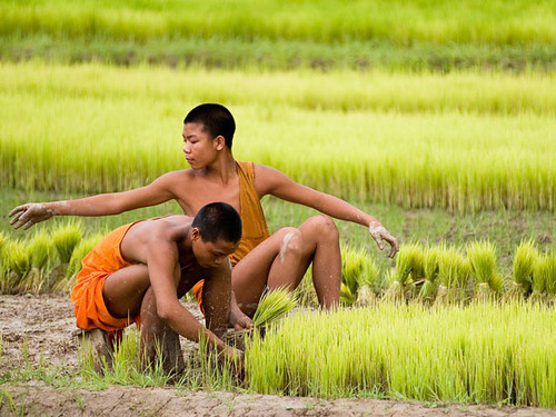Luang Namtha Travel Guide: Plan Your Trip with Confidence — Luang Namtha, Laos travel guide